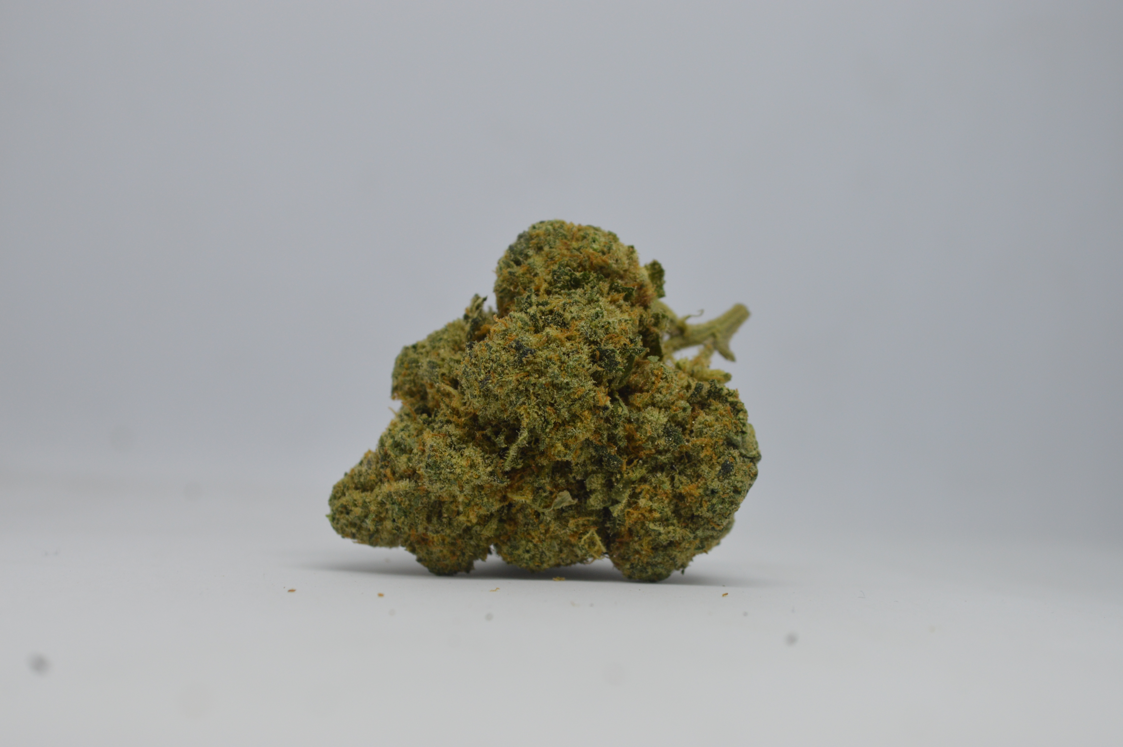 CBD kvety - Amnesia Hydro 5g 